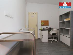 Pronájem obchodního prostoru, Sezemice, Havlíčkova, 50 m2