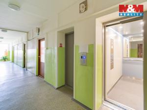 Prodej bytu 1+kk, Cheb, Přátelství, 24 m2