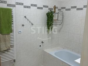 Pronájem bytu 1+1, Opava - Kateřinky, Pekařská, 47 m2