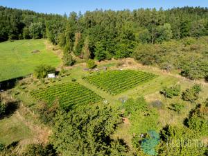 Prodej sadu/vinice, Lhenice, 8045 m2