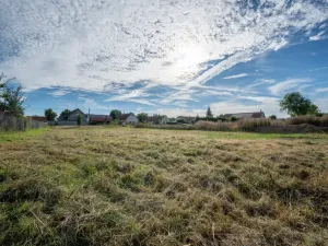 Prodej pozemku pro bydlení, Zalužany, 1423 m2