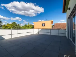 Prodej bytu 4+kk, Ostopovice, B. Němcové, 170 m2