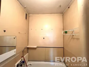 Prodej bytu 1+1, Plzeň - Východní Předměstí, náměstí Generála Píky, 48 m2