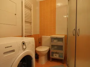 Pronájem bytu 1+kk, Brno, Hybešova, 34 m2