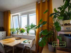 Prodej bytu 3+1, Přerov, Žerotínovo nám., 70 m2