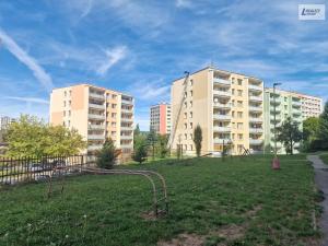 Prodej bytu 2+1, Příbram - Příbram III, Průběžná, 43 m2