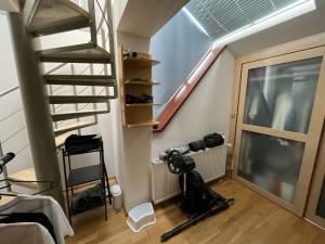 Pronájem bytu 4+1, Praha - Dejvice, Paťanka, 130 m2