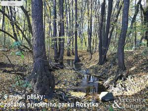 Prodej rodinného domu, Říčany - Radošovice, Mozartova, 149 m2
