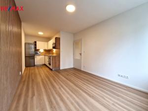 Pronájem bytu 2+kk, Praha, Plamínkové, 41 m2