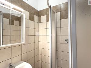 Pronájem bytu 1+1, Praha - Žižkov, Olšanské náměstí, 45 m2