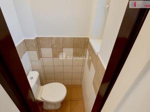 Pronájem bytu 1+1, Praha - Žižkov, Olšanské náměstí, 45 m2