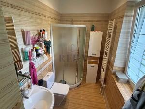 Prodej rodinného domu, Karlovy Vary, Motýlí, 246 m2