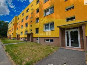 Prodej bytu 1+1, Stráž pod Ralskem, Máchova, 42 m2