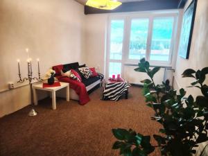 Pronájem bytu 2+1, Vyškov, Smetanovo nábřeží, 57 m2