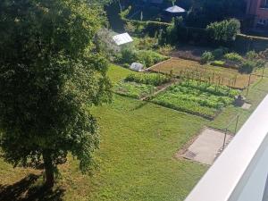 Pronájem bytu 2+1, Vyškov, Smetanovo nábřeží, 57 m2