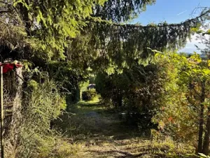 Prodej chaty, Nespeky, 50 m2