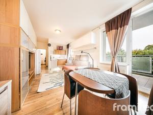 Pronájem bytu 1+kk, Brno, Pahrbek, 27 m2