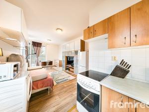 Pronájem bytu 1+kk, Brno, Pahrbek, 27 m2