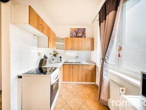 Pronájem bytu 1+kk, Brno, Pahrbek, 27 m2