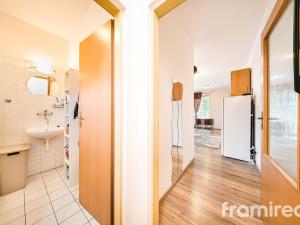 Pronájem bytu 1+kk, Brno, Pahrbek, 27 m2