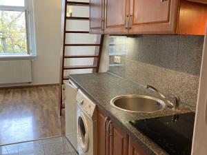 Pronájem bytu 1+kk, Praha - Vysočany, Freyova, 18 m2