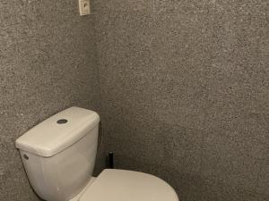 Pronájem bytu 1+kk, Praha - Vysočany, Freyova, 18 m2