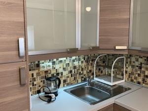 Pronájem bytu 1+kk, Praha - Žižkov, Krásova, 26 m2