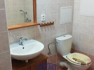 Pronájem bytu 2+kk, České Budějovice, U Trojice, 64 m2