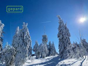 Prodej chaty, Jáchymov - Suchá, 130 m2