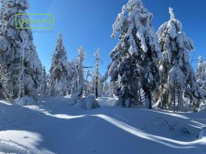 Prodej chaty, Jáchymov - Suchá, 130 m2