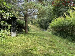 Prodej chaty, Zlatá Olešnice - Stanový, 35 m2
