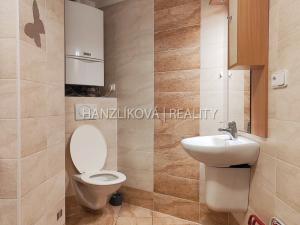 Pronájem bytu 2+kk, České Budějovice - České Budějovice 3, Rudolfovská tř., 35 m2
