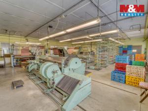 Prodej obchodního prostoru, Postřekov - Mlýnec, 1605 m2