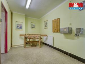 Prodej obchodního prostoru, Postřekov - Mlýnec, 1605 m2