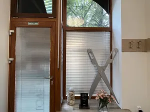 Pronájem obchodního prostoru, Ostrava, Macharova, 75 m2