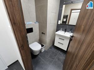Pronájem bytu 1+kk, Plzeň - Jižní Předměstí, Na Jíkalce, 36 m2