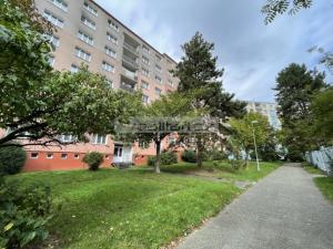 Prodej bytu 1+1, Plzeň, Sokolovská, 35 m2