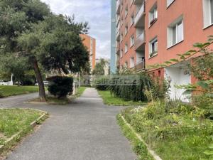 Prodej bytu 1+1, Plzeň, Sokolovská, 35 m2
