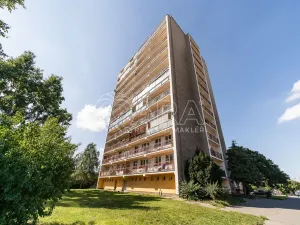 Pronájem bytu 3+1, Pardubice - Bílé Předměstí, Na Drážce, 68 m2