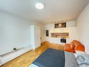 Pronájem bytu 1+kk, Praha - Nové Město, Ječná, 34 m2