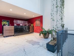 Pronájem bytu 2+kk, Praha - Vysočany, Podnádražní, 64 m2