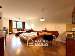 Prodej bytu 1+kk, Ostružná - Ramzová, 36 m2