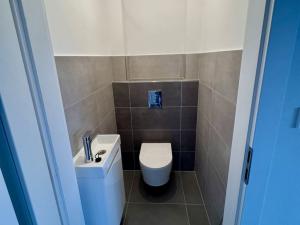 Pronájem rodinného domu, Nechanice, 150 m2