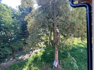 Pronájem rodinného domu, Petrovice, 338 m2