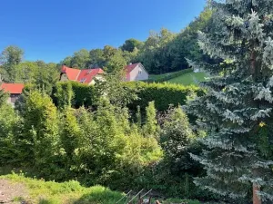 Pronájem rodinného domu, Petrovice, 338 m2
