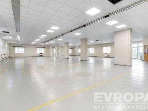 Pronájem skladu, Havlíčkův Brod, okres havlíčkův brod, 1290 m2
