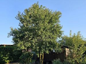 Prodej chaty, Teplice, 23 m2