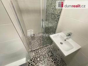 Pronájem bytu 1+kk, Praha - Nusle, U Svépomoci, 30 m2