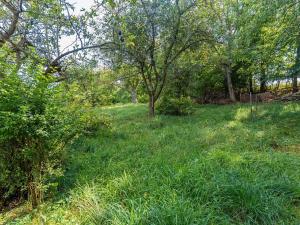 Prodej rodinného domu, Konice, 300 m2