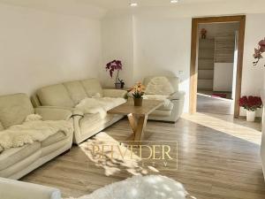 Pronájem bytu 5+kk, Teplice, Slovenská, 150 m2